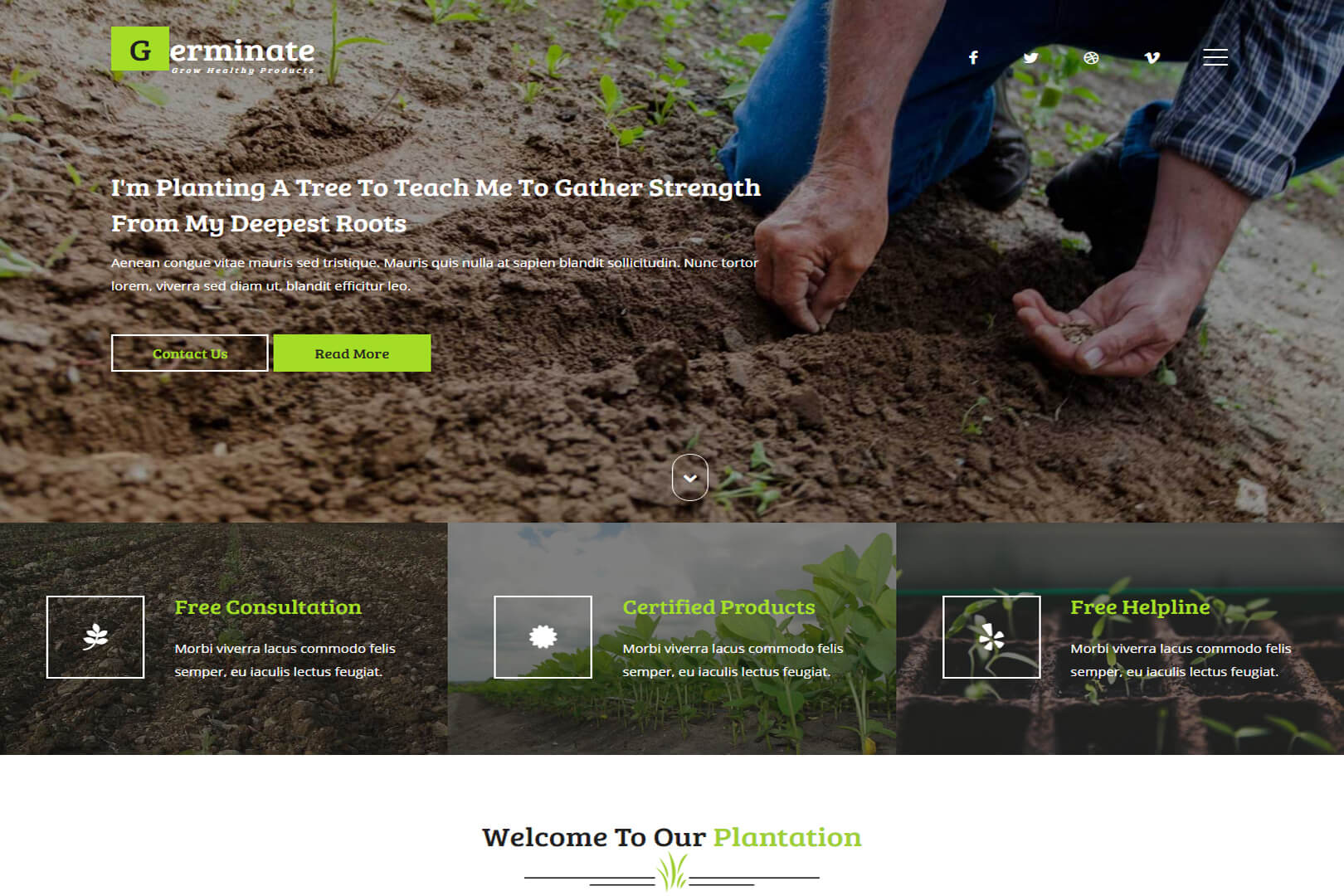Germinate an Agriculture Bootstrap Responsive Web Template